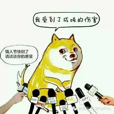 精彩| 情人节还是单身的请举手