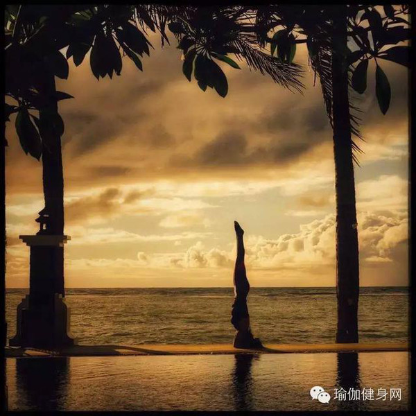 每日分享:瑜伽108遍拜日式之第14遍