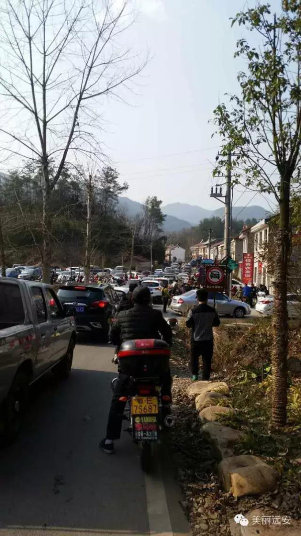 从祈福圣地鸣凤山到层峦叠嶂的鹿苑寺,处处风景怡人,更为喜庆的节日