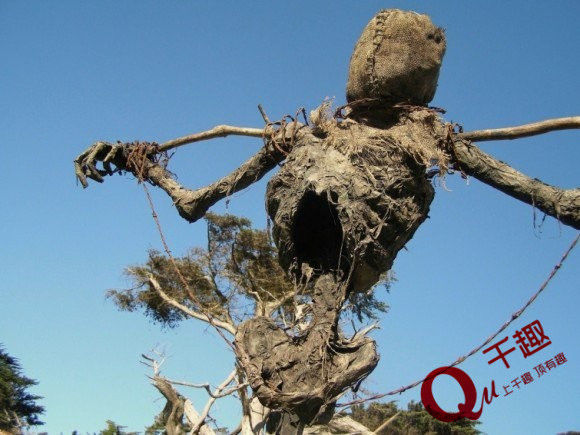 这个"腐烂尸体稻草人,甚至连身体都是仿造真人的骨头.