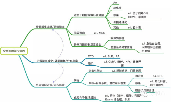 血细胞都去哪了?|?一页手册·协和八