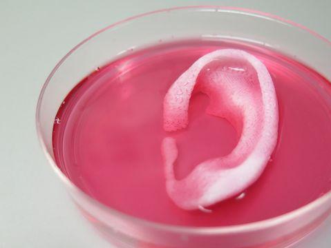 重大突破:新型生物3D打印机可打印出人体器官