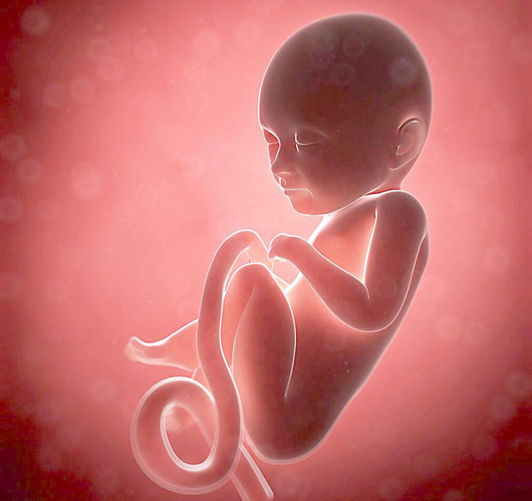 怀胎十月,腹中胎宝最怕啥?