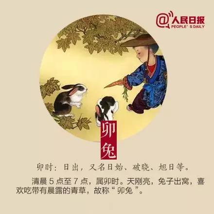 为什么十二生肖的顺序是这么排的？几张图告诉你十二生肖排序的渊源插图3
