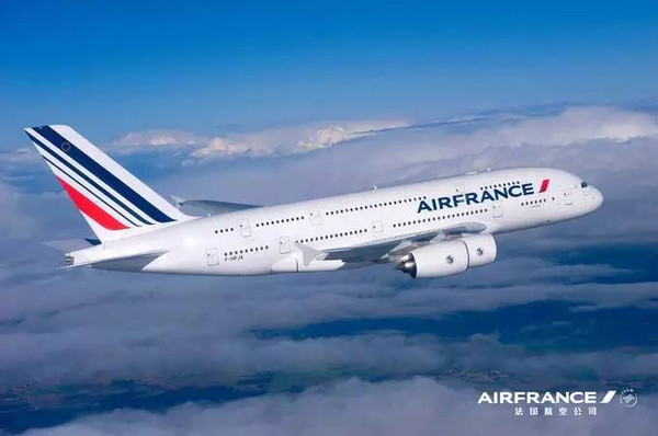  Air France Pet Travel Reviews: A Comprehensive Guide to Safe and Stress-Free Air Travel for Furry Friends