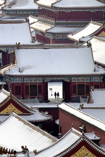 故宫24小时