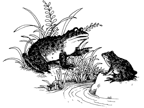 简笔画 手绘 线稿 600_450