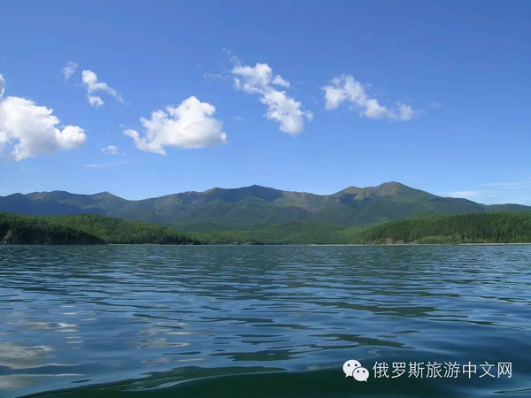 你以为贝加尔湖只有美景和水怪吗告诉你,还有美的海鸥!