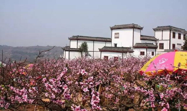 86龙泉桃花故里