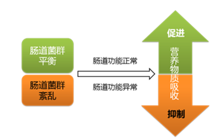 研究人员发现发现美国人口_美国研究人员(3)