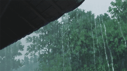 【今日雨水】春雨贵如油