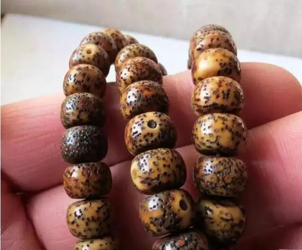 星月菩提种类:元宝籽、摩尼籽、金蝉籽