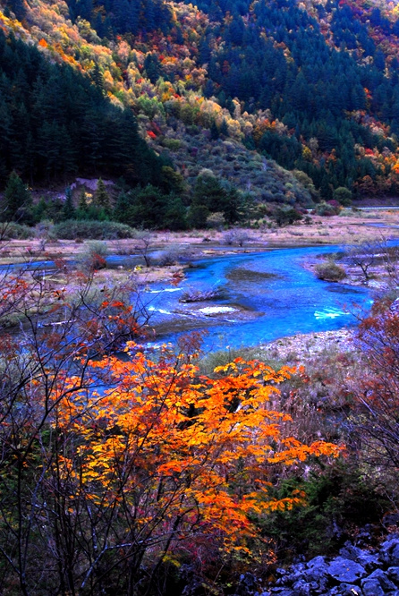 【美丽中国】山风水韵九寨沟