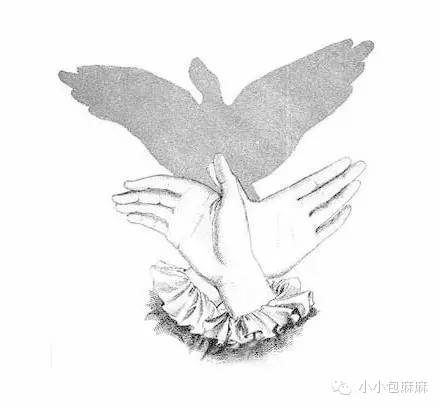 今天我给妞们收集了不少手影图片,有老鹰,兔子,骆驼,山羊,乌龟,大象