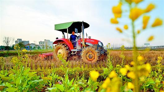 此前,为了迎战春耕大生产,该区12家农机合作社对1000多台耕作机械完成