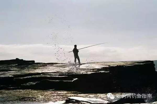 渔乐:钓鱼草根达人教您 手竿溜大鱼