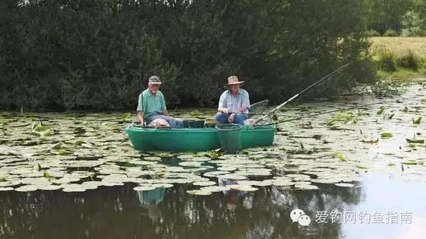 渔乐:钓鱼草根达人教您 手竿溜大鱼