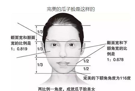 正宗的瓜子脸,就是指这货了(南瓜子)