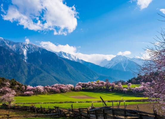 林芝海拔人口_林芝地区旅游地图(2)