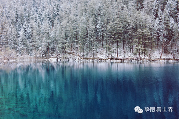 连续三次大雪入山,只为九寨沟最美的童话仙境