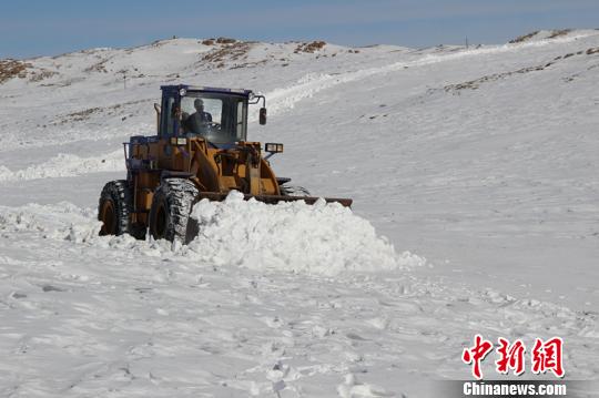 新疆万余牛羊被困山中无法觅食