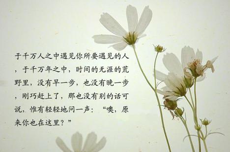放在心里,静静想你
