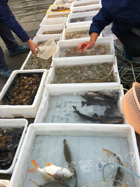 在深圳吃又便宜又好的海鲜该怎么吃