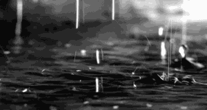 嘘不要在下雨天给陌生人开门