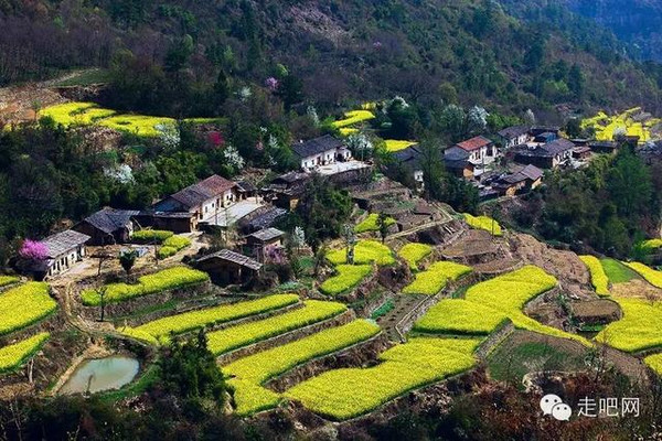 深圳市坪山区珠洋坑村住的有多少人口