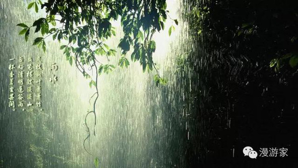 雨水,最是一年春好处