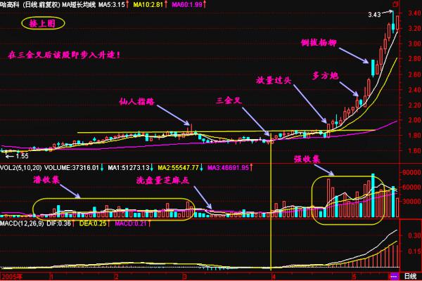 出现这种形态都是庄家即将拉升的牛股