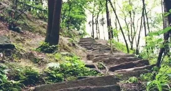 春日山城,每个山顶都有别样风景