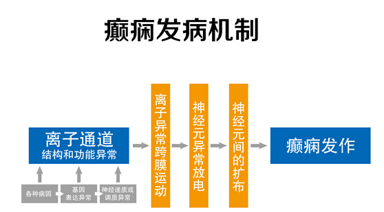 癫痫的发病机制介绍