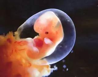 怀孕60天未见胚芽正常吗?