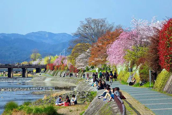 如何用2200日元在京都过一天?
