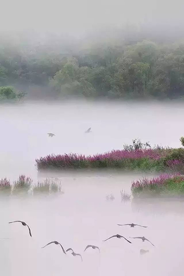 什么熬风景成语_成语故事简笔画