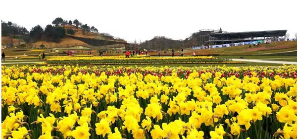 贵定四季花谷游人爆满