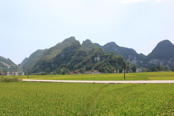 平塘县有多少人口_平塘必体验(3)