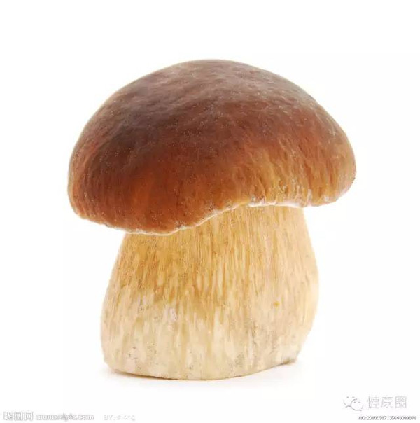 物: 蝇蕈素等 有部位: 5%蘑菇 蘑菇的种类千千万万,其中约百多种