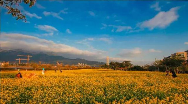 莆田坪人口_莆田坪盘旅游景区(3)