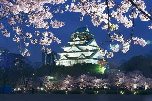 春季的日本之旅有这份樱花地图就够了!