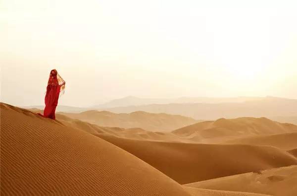 沙漠中防尘,沙漠中的骆驼诗歌背景,我的农场在