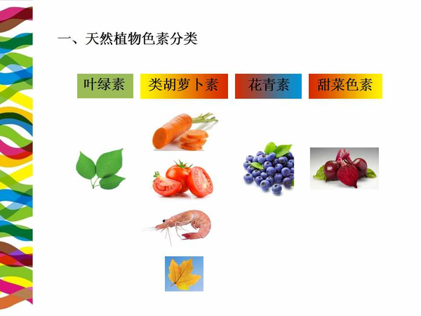 临床营养学堂 植物甜菜色素