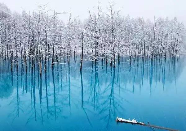 【组图】对不起,我要去北海道了,别找我了!,日