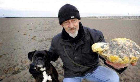 男子在海边溜狗时发现块石头，知道真相后激动惨了-搜狐
