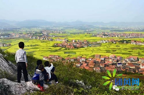 对不起老板!我要去武穴全国最美丽的地方拍照