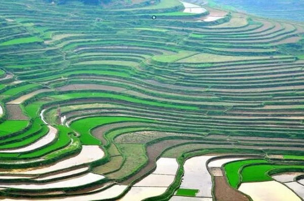 中国十大最美梯田,天堂里的时光天梯