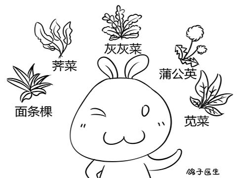 春天迈着昂扬的脚步,吃货们有福啦,野菜佳肴!