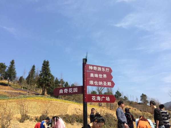 旅游 正文  贵定金海雪山·四季花谷景区总占地面积1100余亩,总投资5