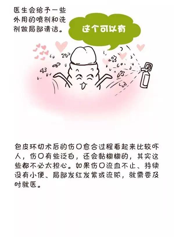 漫画告诉你:包皮切or不切